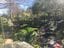 Eden Gardens + Swane's Nursery Tour Image -5b2c6c3287400